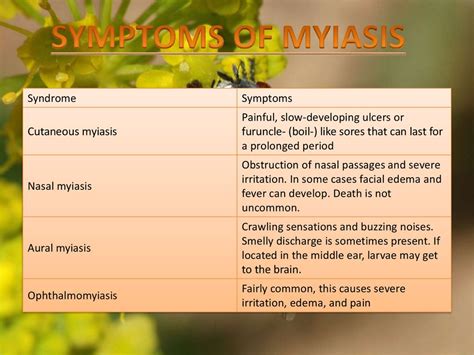 Classification Of Myiasis презентация онлайн