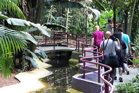 Bosque Da Ciência Reabre Para Visitação Pública Neste Sábado Portal Amazônia