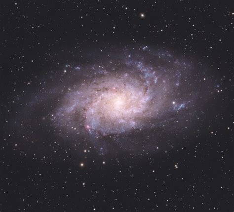 Triangulum Galaxy M33 Scott Homstead Astrobin
