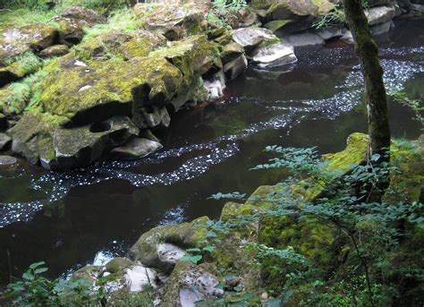 The Bolton Strid The Stream That Swallows Anyone Who Falls In