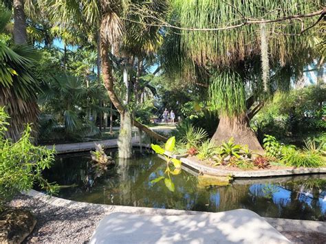 Top Things To See In Miami Beach Botanical Garden Urtrips