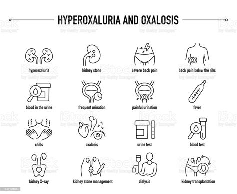 Hyperoxaluria And Oxalosis Vector Icon Set Stock Illustration