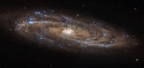 La Galassia A Spirale Ngc 4100 Fotografata Dal Telescopio Spaziale