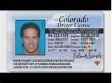 Get Fl Drivers License Online Photos