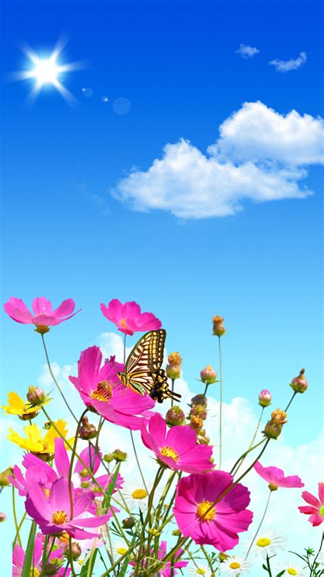 Butterfly Wallpaper For Android Pixelstalknet
