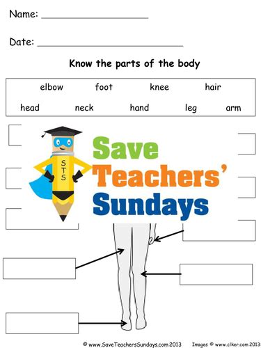 Parts Of The Human Body Ks1 Lesson Plan And Worksheets Teaching Resources