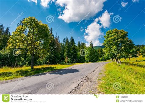 Trees By The Road In Mountains Stock Image Image Of Destination