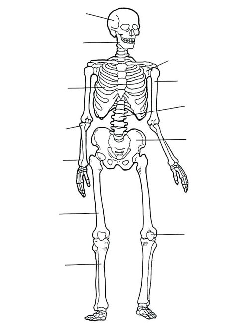 body parts coloring pages  getcoloringscom