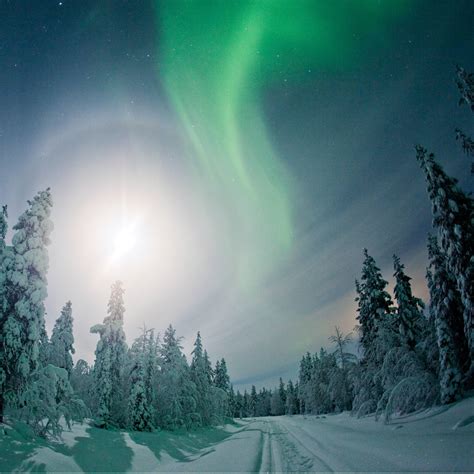 Top Things To Do During Winter In Lapland