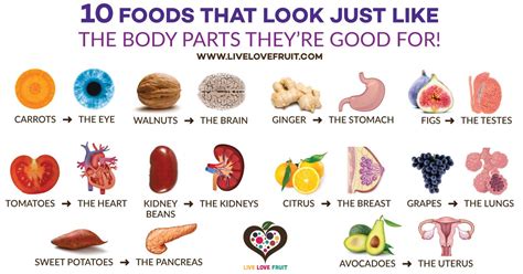 10 Plant Based Foods That Look Just Like The Body Parts Theyre Good
