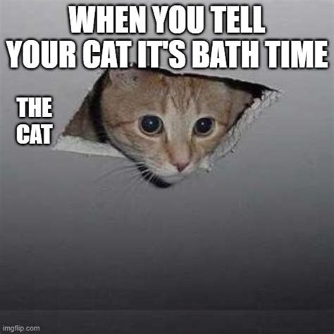 These ceiling cat memes will make you laugh all day. Ceiling Cat Meme - Imgflip