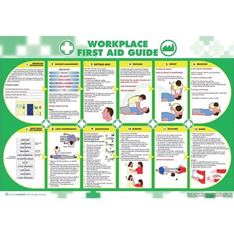 Wallace Cameron Workplace First Aid Guide Poster Laminated Wall