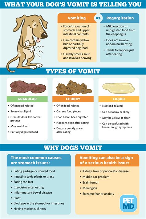 Dark Brown Dog Vomit Color Guide Contact Your Vet As Soon As Possible