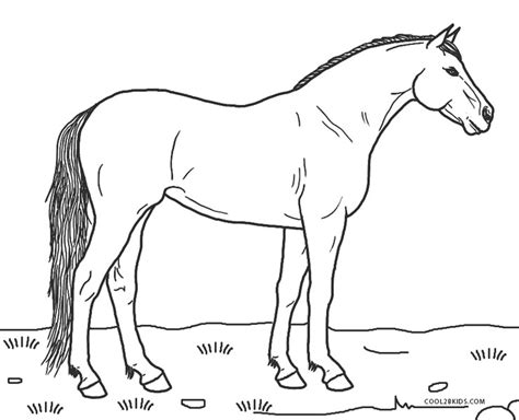 Pferd Ausmalbild Pferde Herzchen Paard Paarden Cavalli Kleurplaat