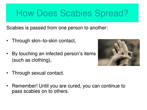 Ppt Scabies Powerpoint Presentation Free Download Id9208292