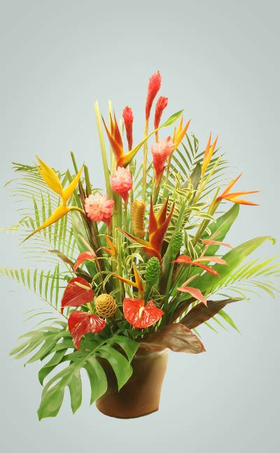 Extra Large Tropical Arrangement Tropical Flower Arrangements