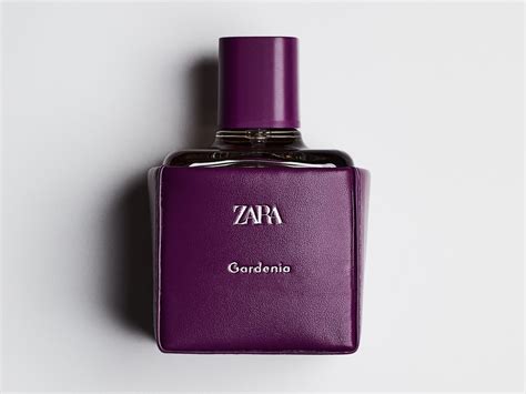 Top 88 Top 10 Zara Perfume Update