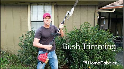 Bush Trimming Basics Youtube