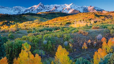 Landscape Of White Covered Mountains Near Green And Yellow Trees Forest