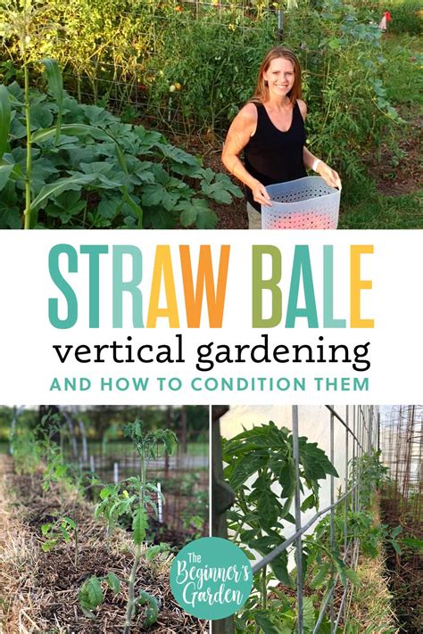 How To Grow Vertically In A Straw Bale Garden The Beginners Garden