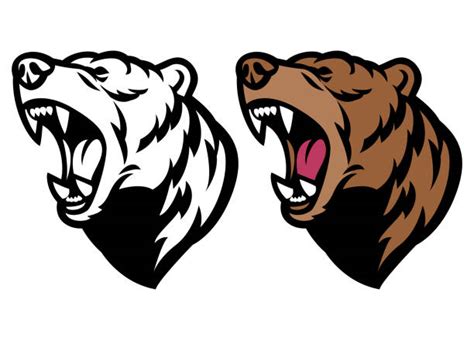 Bear Roar Illustrations Royalty Free Vector Graphics And Clip Art Istock