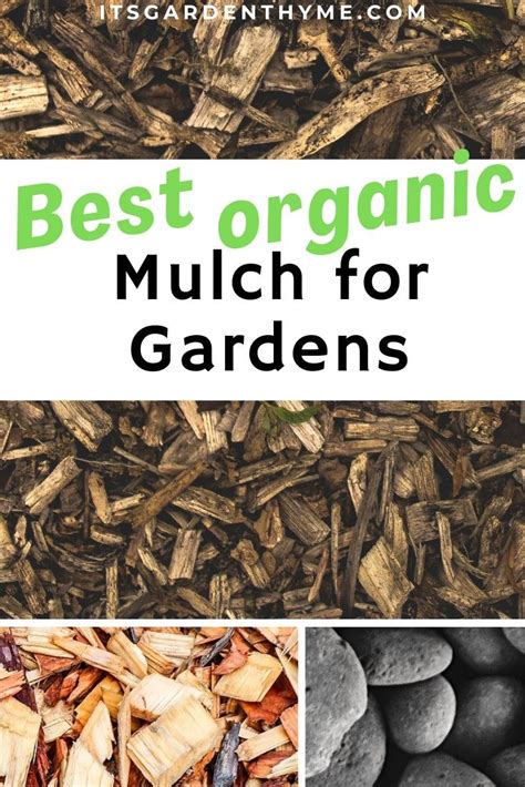 Best Mulch For Your Vegetable Garden | Organic mulch, Mulch, Types of mulch
