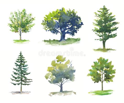 Set Of Watercolor Trees Isolated Hand Drawn Illustration Of Various Trees Stock Photo Image