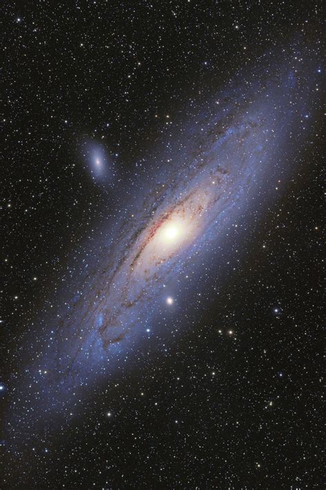 The Andromeda Galaxy Andromeda Galaxy Space And Astronomy Astronomy