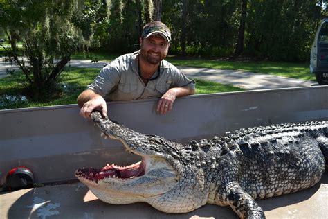 The Wild Life Thoughts On Floridas Alligator Hunting Season