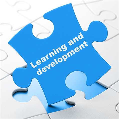 5 Learning And Development Strategy Examples
