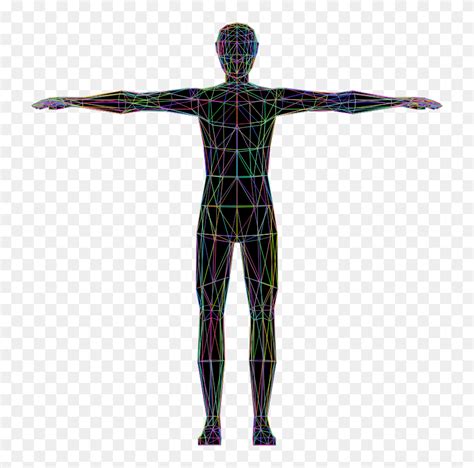 Cuerpo Humano Dibujo Png Transparent Png 730x7516797422 Pngfind