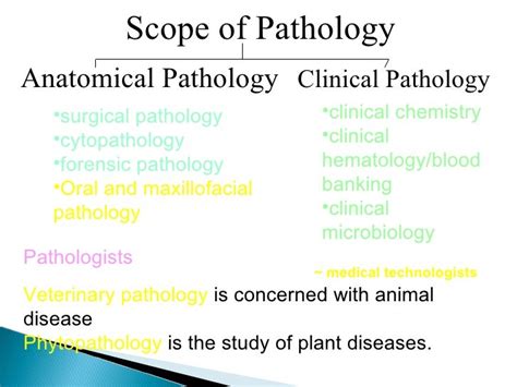 Anatomical Pathology The Branch Of Medicine That Deals With The