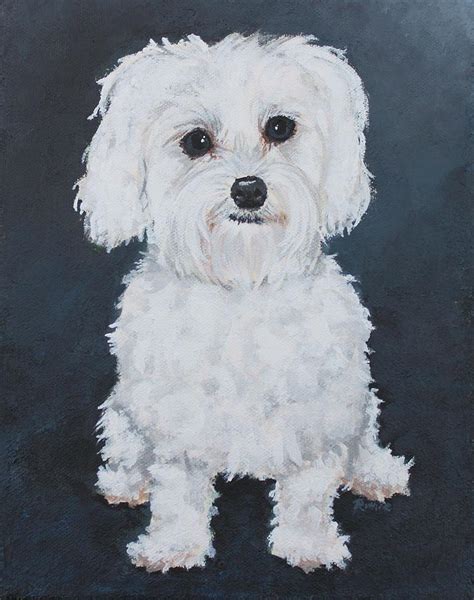 Kenzie Portrait Of A Maltese Painting By Ruthie Sutter Fine Art America