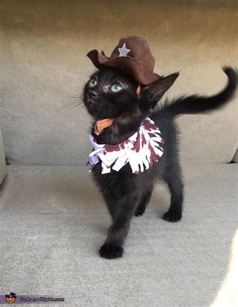 Cowboy Kitten Halloween Costume Contest At Costume Pet