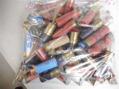 Assorted 12 Gauge Shotgun Shells