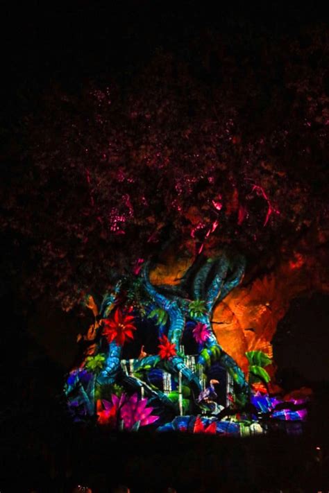 Photos Video New The Lion King Themed Tree Of Life Awakenings