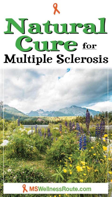 Natural Cure For Multiple Sclerosis Ms Wellness Route