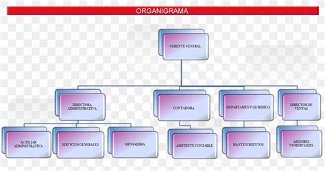 Organizational Chart Real Estate Empresa Business Administration