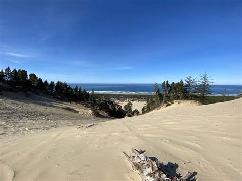 The Winchester Bay Sand Dunes Overlooking The Ocean The Weather Was