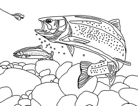 1199 x 899 file type: rainbow trout drawing template | Rainbow Trout (Landscape ...