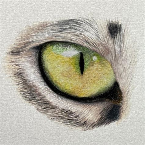 Sign Up To My Cats Eye Challenge