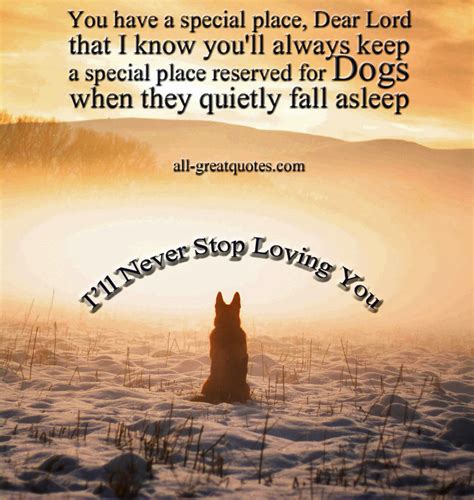 Pet Loss Poems And Quotes Quotesgram