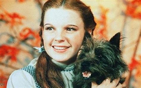 Dorothy And Toto Wizard Of Oz