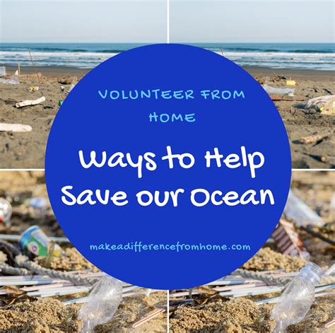 Volunteer From Home How Volunteers Can Make Waves And Help Save Our