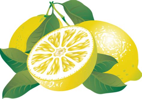 Download High Quality Lemon Clipart Fruit Transparent Png Images Art