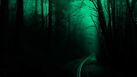 Spooky Night Dark Green Road Forest Deep Forest