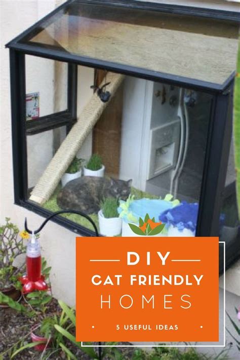 Making Cat Friendly Homes Some Amazing Diy Ideas To Transform Your