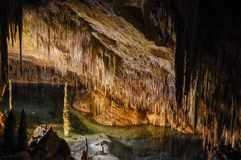 Mallorca Caves Of Drach And Porto Cristo Tour From 56€