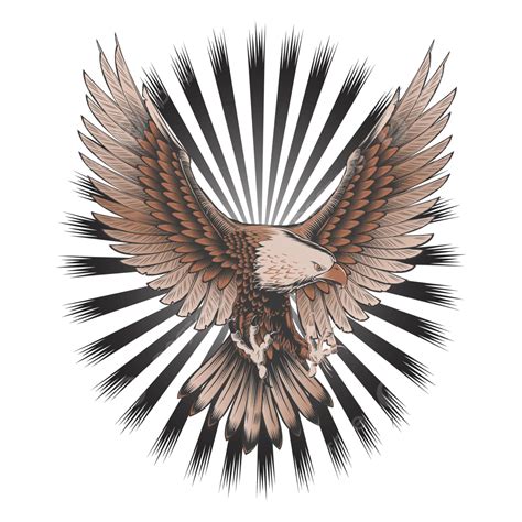 águila Calva Americana Png Vectores Psd E Clipart Para Descarga