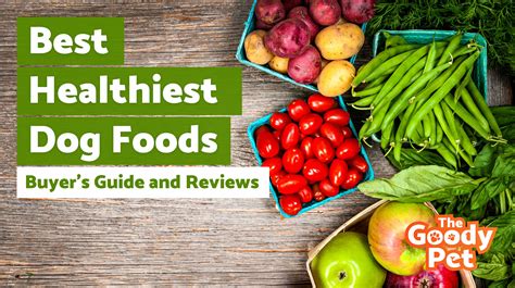 7 Best Healthiest Dog Food - Ingredients + Brands (January 2020) | TheGoodyPet